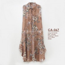 CA-067 Outer Ceruti / Cerutty motif